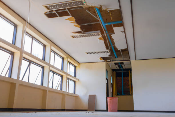 Best Basement water damage restoration  in El Rio, CA
