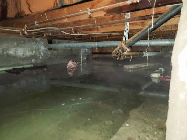 Best Emergency water damage restoration  in El Rio, CA