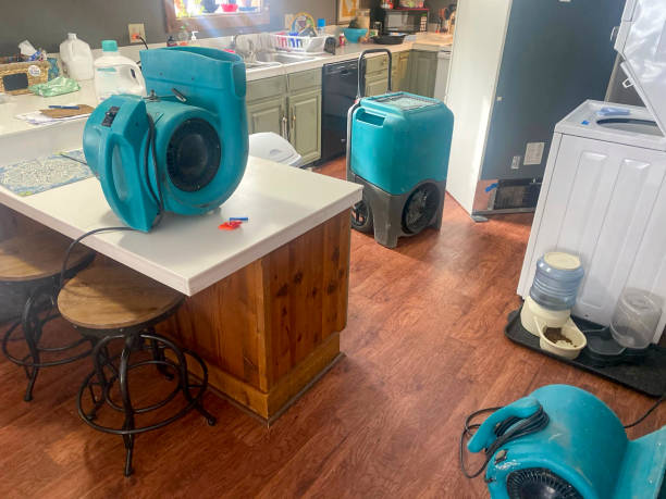Best 24/7 water damage repair  in El Rio, CA