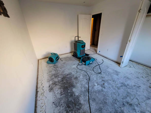 Best Water damage restoration near me  in El Rio, CA