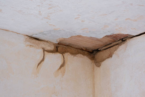  El Rio, CA Water damage restoration Pros