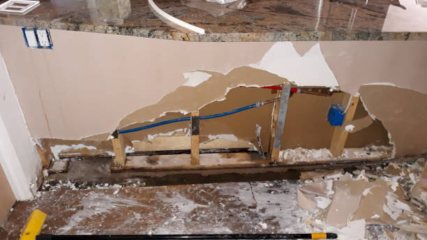 Best Mold removal after water damage  in El Rio, CA