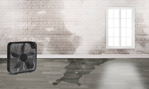 Best Residential water damage restoration  in El Rio, CA