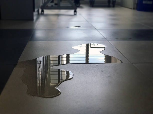 Best Water damage contractors near me  in El Rio, CA