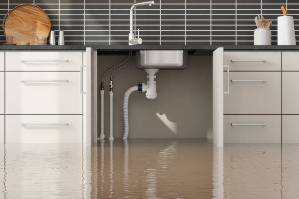 Best Commercial water damage restoration  in El Rio, CA